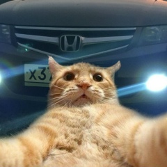 Алексей Макаров, 25.01