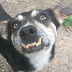 Александр Лях, 01.10