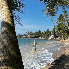 Александр Верхов