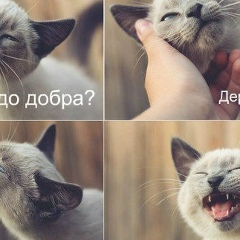 Даниил Бурлуцкий, 25.05, Донецк