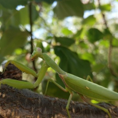 Татьяна Зайченко, 03.10.1985, Санкт-Петербург