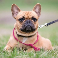 Вадим Сухенко, 25.04.1964, Киев