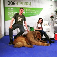 Виктор Шохнин, 24.09.1995, Таганрог