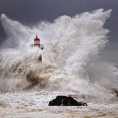 Кусочек Пиццы, 20.07.1989, Москва
