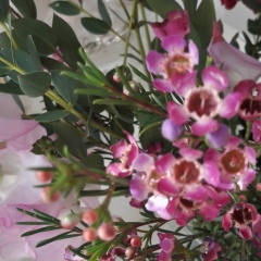 Екатерина Алексеева, 09.04.2007