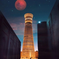 Федя Гафуров, 26.02, Санкт-Петербург