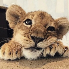 Дмитрий Шаранкевич, 30.06.1989, Новогрудок