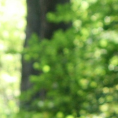 Сергей Давидоглу, 28.11.1985, Москва