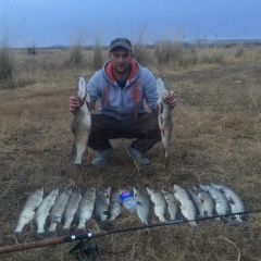 Александр Вольф, 12.11.1987, Астана