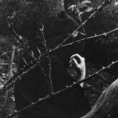 German Reinecke, Донецк