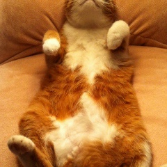 Андрей Пергат, 03.12.1977, Москва