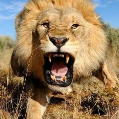 Нур-Магомед Альбеков, 02.01.1999