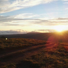 Анатолий Борисов, Санкт-Петербург