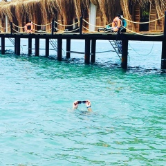 Андрей Григорьев, 22.11.1985, Белгород