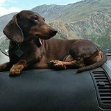 Татьяна Юрьева, Новосибирск