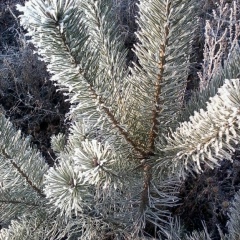 Галина Кириенкова-Косарук, 19.10.1987, Люберцы