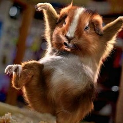 Лёха Филимонов, Воркута