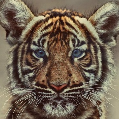 Артем Сазонов, 15.11.1991, Екатеринбург