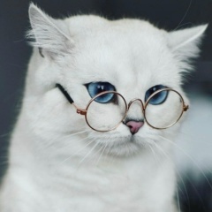 Мария Ромашкина, 18.01.1994