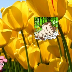 Ирина Орлова-Михайлова, 21.12.1959, Уфа