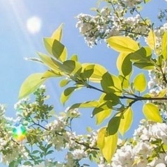 Люба Волкова, 01.07.1965, Каракулино