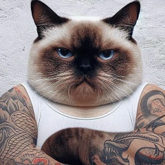 Yewint Aung, 26.08.1992