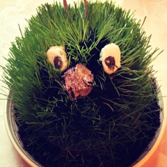 Вениамин Кроль, Санкт-Петербург