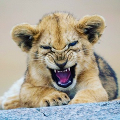 Макс Акбар, 27.12.1989, Кызылорда