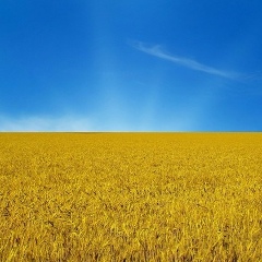 Юля Семенюк, 21.08.1984, Донецк