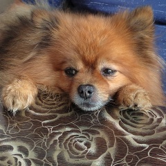 Наталия Копорулина, 22.05, Санкт-Петербург