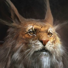 Александр Комаров, 07.11