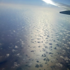 Юлия Коган, 30.07, Holon