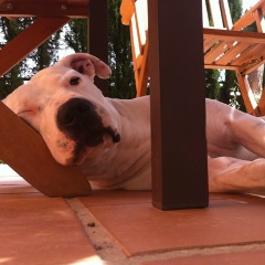 Serg Serg, 23.10.1982, Málaga