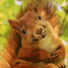 Татьяна Шинкевич, 12.07, Минск