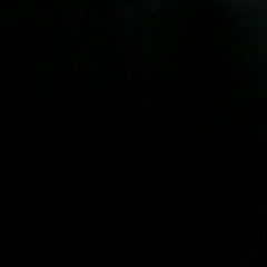 Мария Орлова, Санкт-Петербург