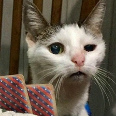 Влад Неделин, 07.10, Пермь