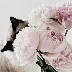 Любовь Судьёва, 07.04.1985