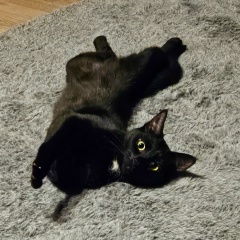 Елена Заец, 01.05, Москва