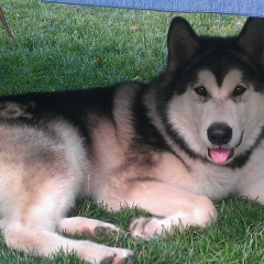 Ольга Ольга, 11.08.1980, Днепр (Днепропетровск)