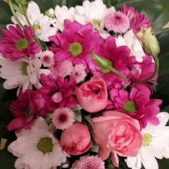 Наргуль Давутова, 12.06, Ставрополь