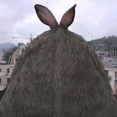 Alexander Burghardt, 12.02.1988, Wernigerode