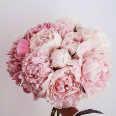 Ольга Данилова, 24.12, Уфа