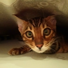 Женька Протасов, 08.02.1988, Брянск