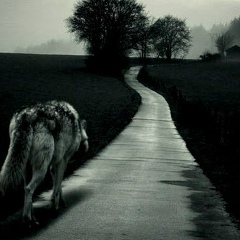 Адам Османов, 28.11.1992, Нальчик