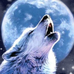 Николай Казанцев, 17.03.1989, Бишкек