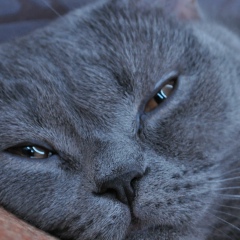 Максим Максимов, 14.05.2003, Москва