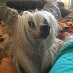 Екатерина Каширина, 16.05.1977, Петергоф