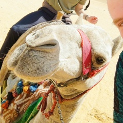 Александр Сальников, 24.01.1994, Ейск