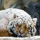 Любов Репенко, 30.06, Борисполь