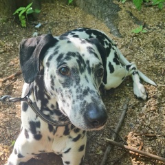 Анна Ромашкова, 03.08